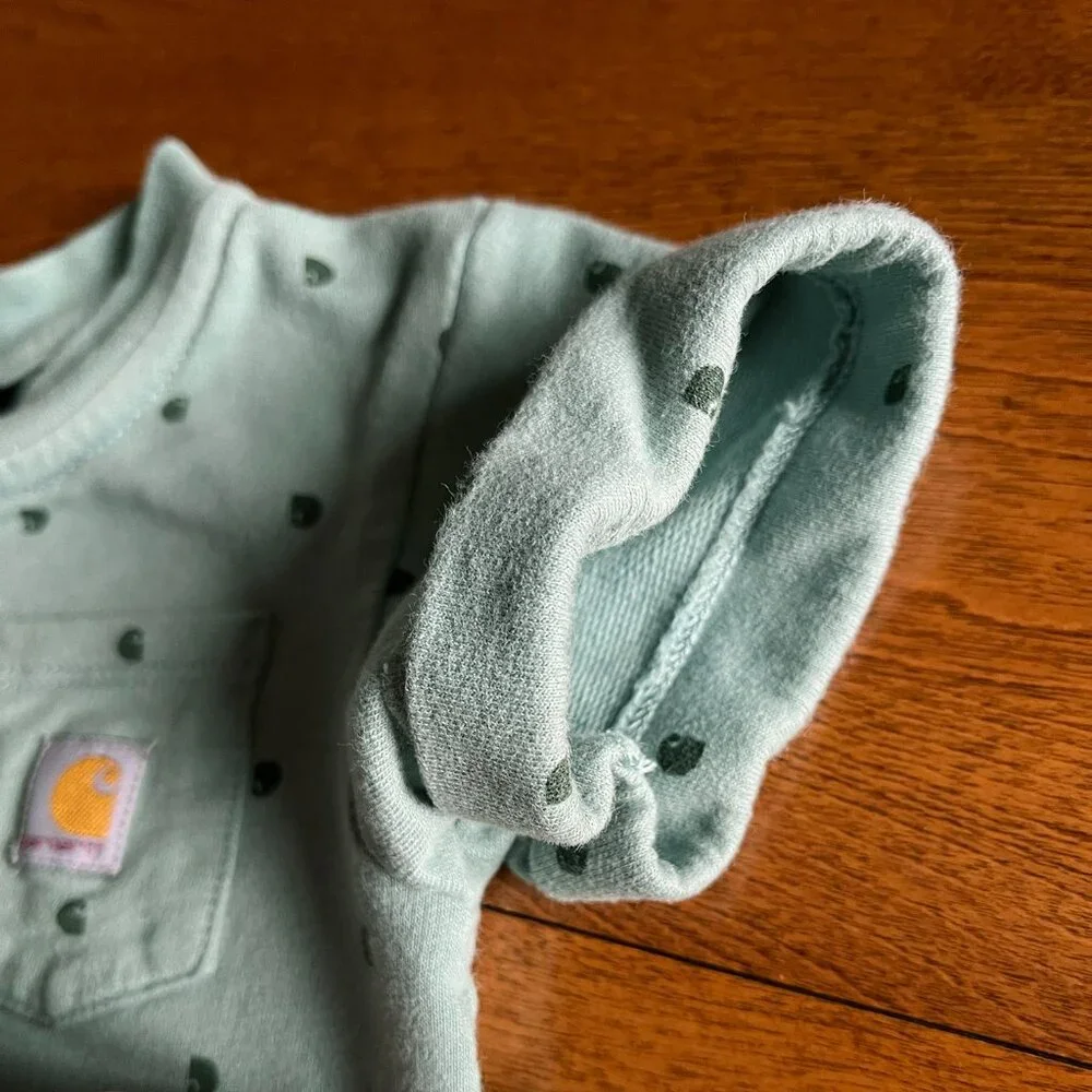 Carhartt wash one logos